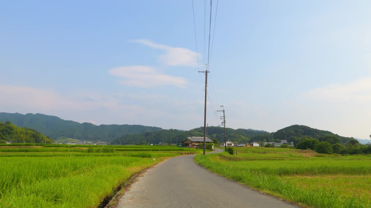 在仲夏的日本乡村，附近有大量绿色的水稻种植。视频素材