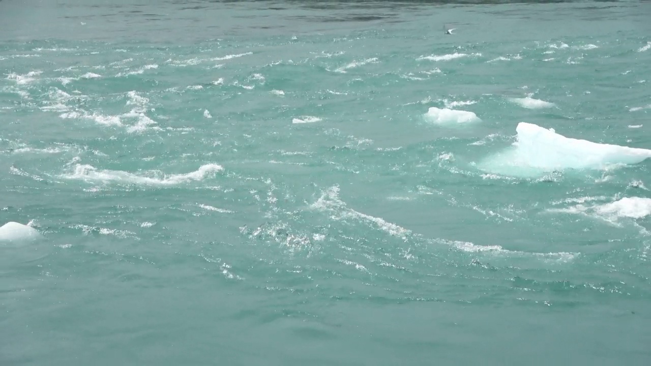 冰岛，Jokulsarlon泻湖，蓝绿色的冰山漂浮在冰岛的冰川泻湖。视频素材