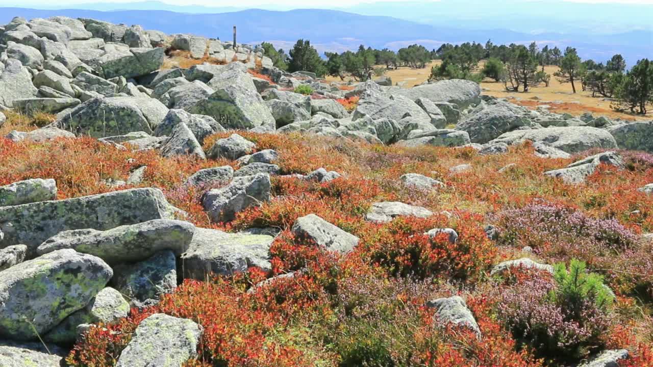 洛山。视频素材