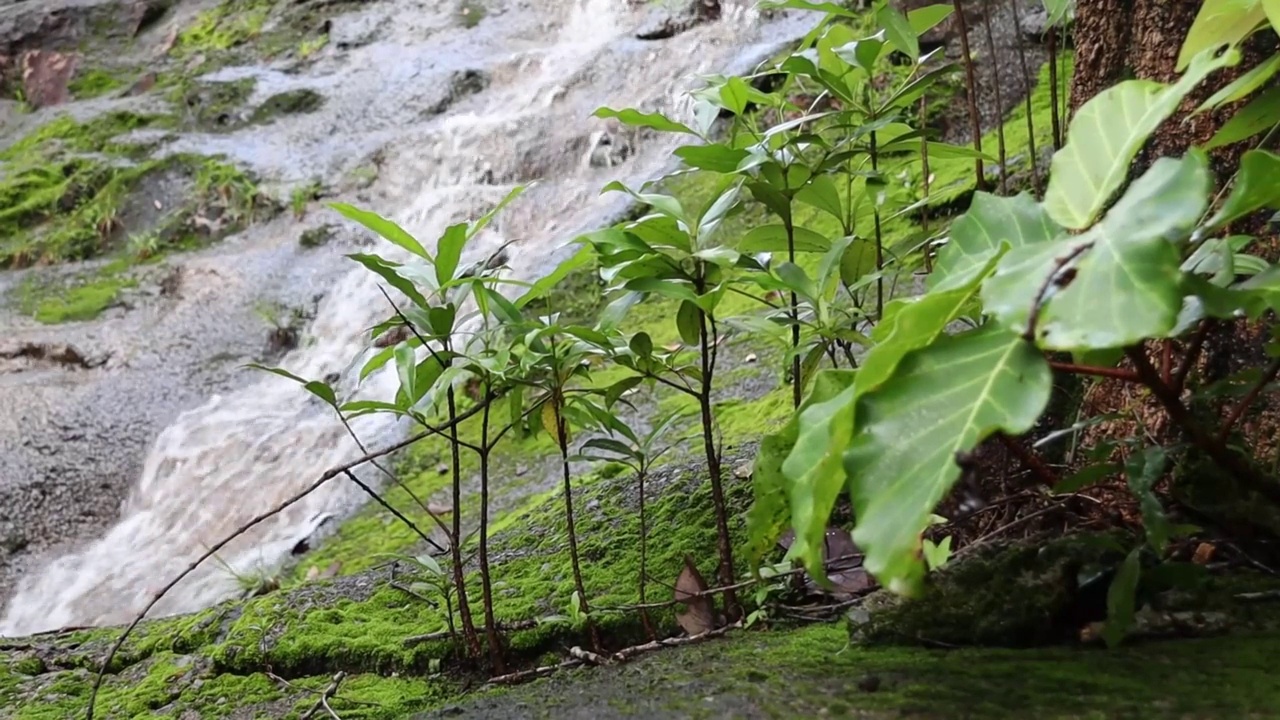 瀑布穿过自然景观视频素材