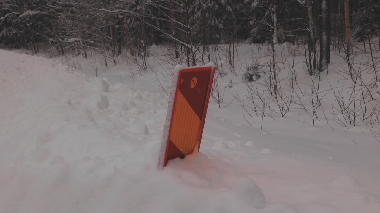 冬天被雪覆盖的地面和森林视频素材