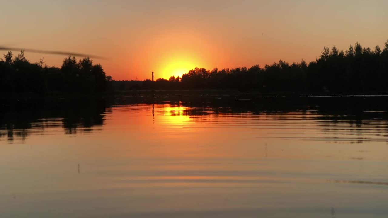 摇蚊在夕阳下飞过湖面视频下载