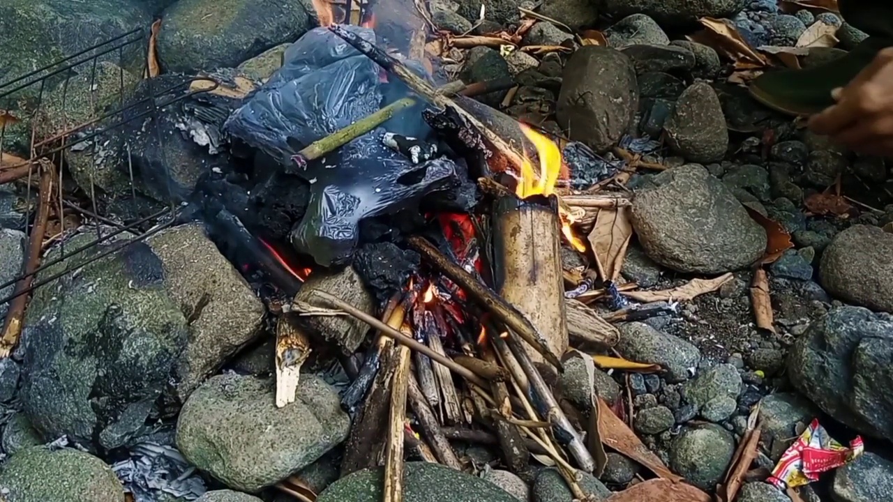 用干树叶和树枝点燃篝火视频素材