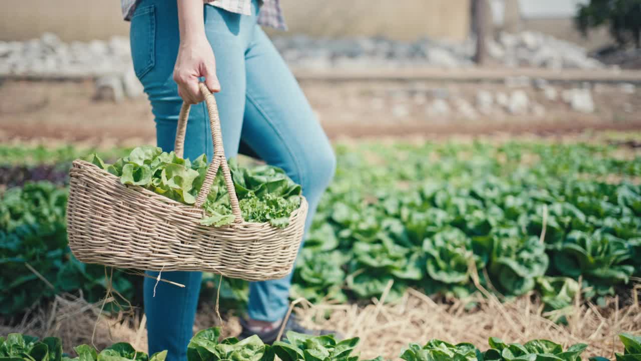 在自家农场的温室里工作的年轻女子视频素材