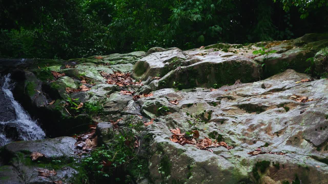 落基山，山下有个水坑视频下载