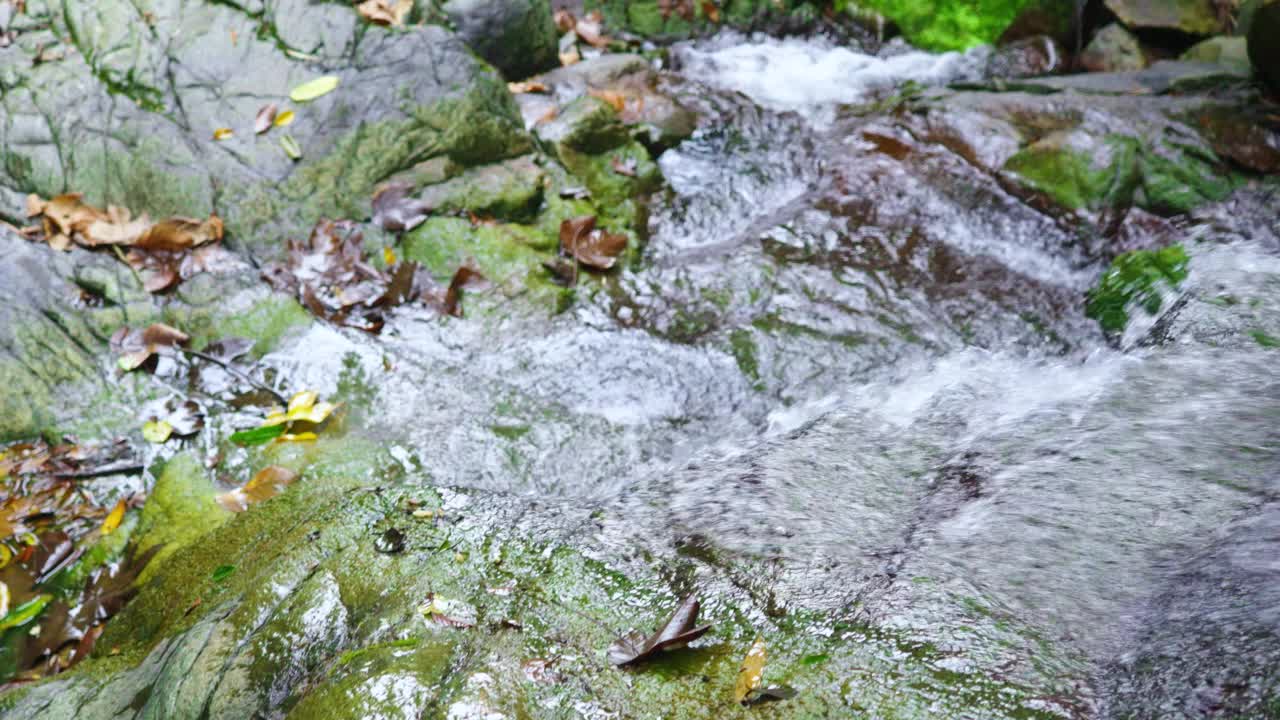 水流碾压与宁静的自然森林景观视频素材