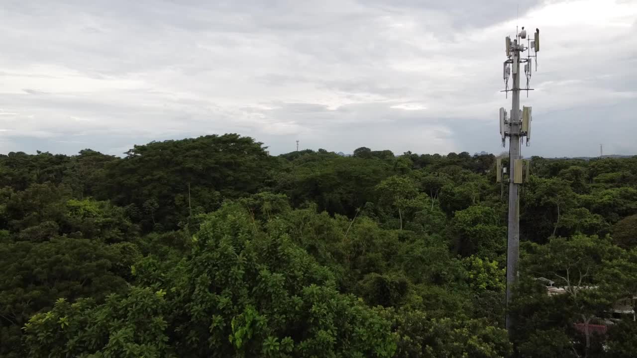 树木繁茂地区的电信天线。视频素材