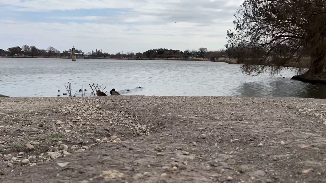 延时拍摄的岩石海岸和鸭子对着湖视频素材