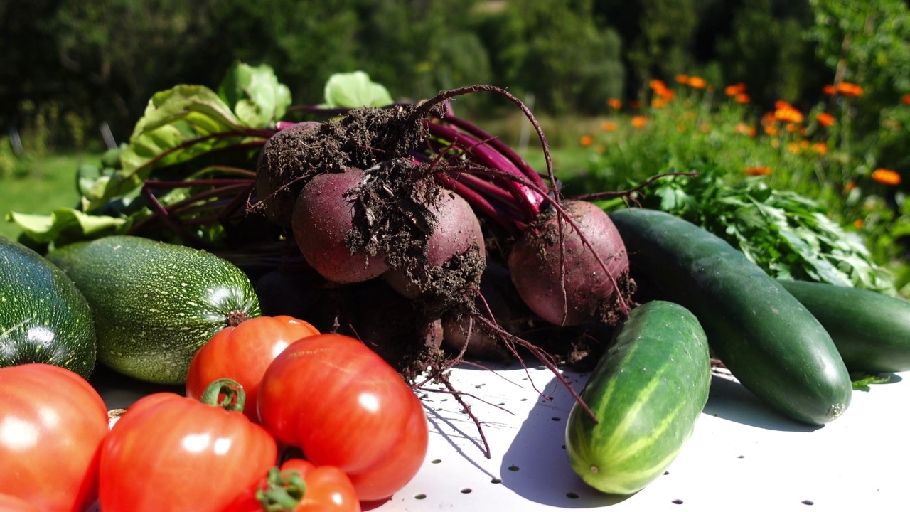 有机蔬菜和香草直接从花园。健康饮食和新鲜蔬菜、纯素食品的理念。视频素材