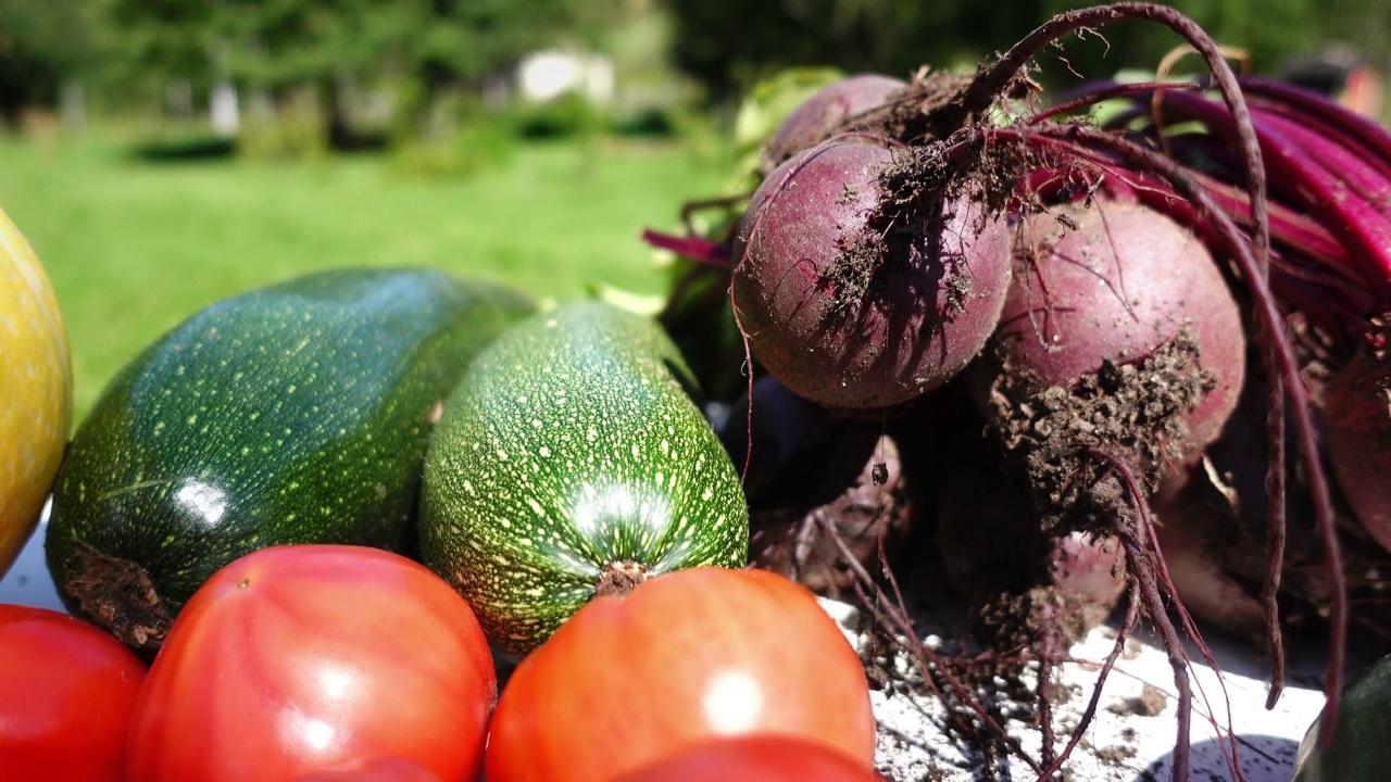 有机蔬菜和香草直接从花园。健康饮食和新鲜蔬菜、纯素食品的理念。视频素材