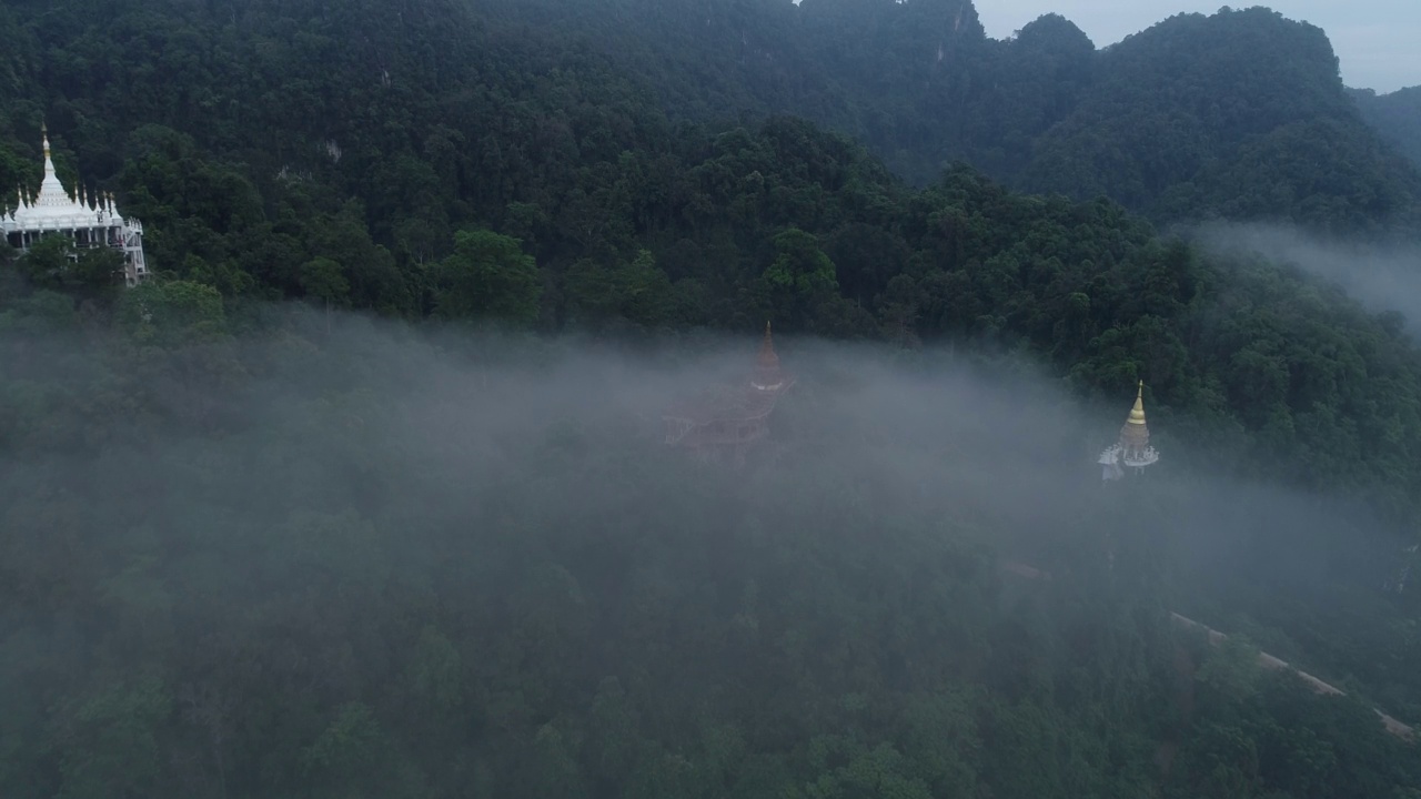 鸟瞰寺庙公园，青山绿树视频素材