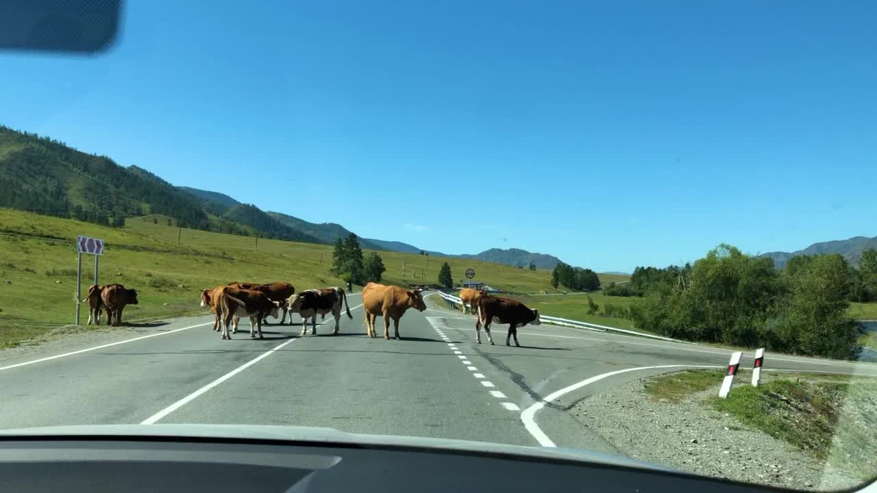 道路交通视频素材