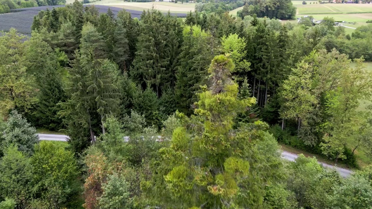 乡村森林的鸟瞰图视频素材