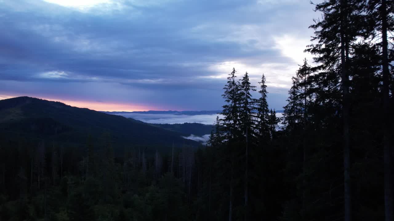 圣诞树和日出时的天空，乌克兰喀尔巴阡山脉视频素材