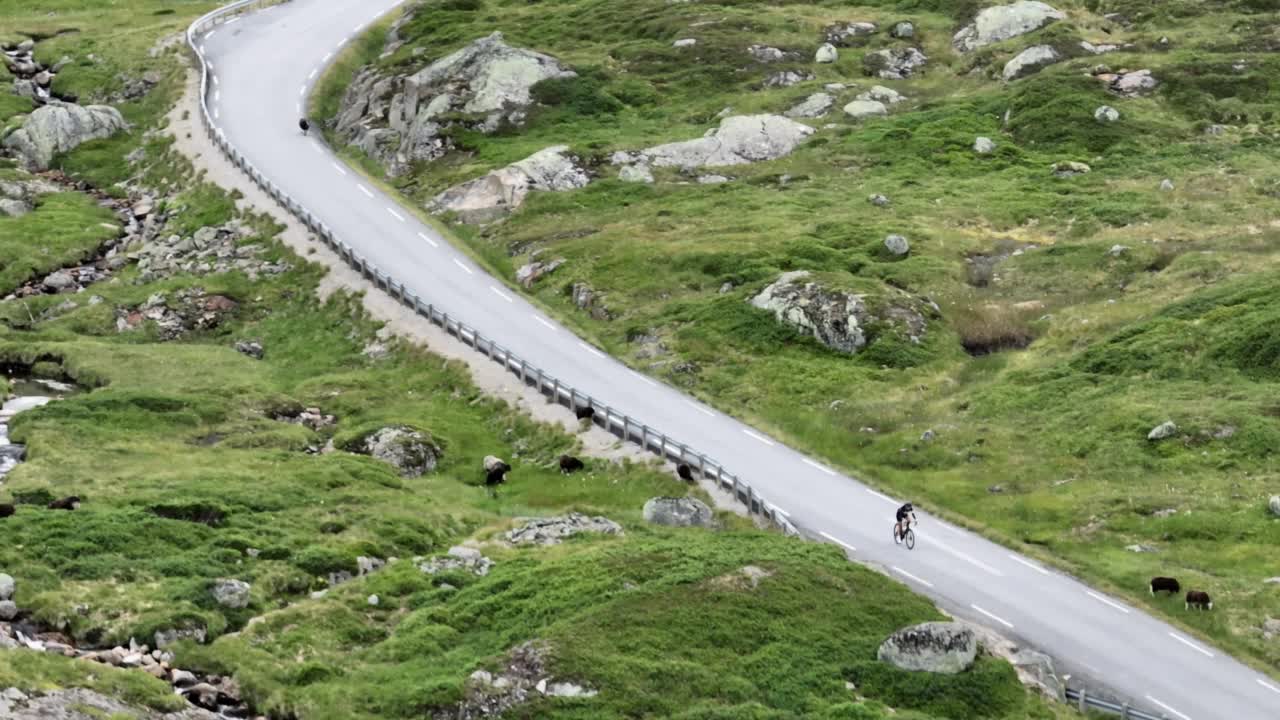 穿过挪威高地的公路鸟瞰图视频素材