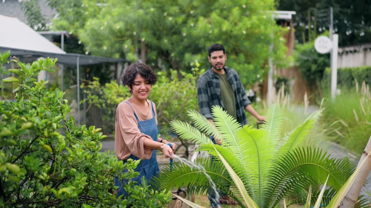 情侣们在节日期间给植物浇水视频素材