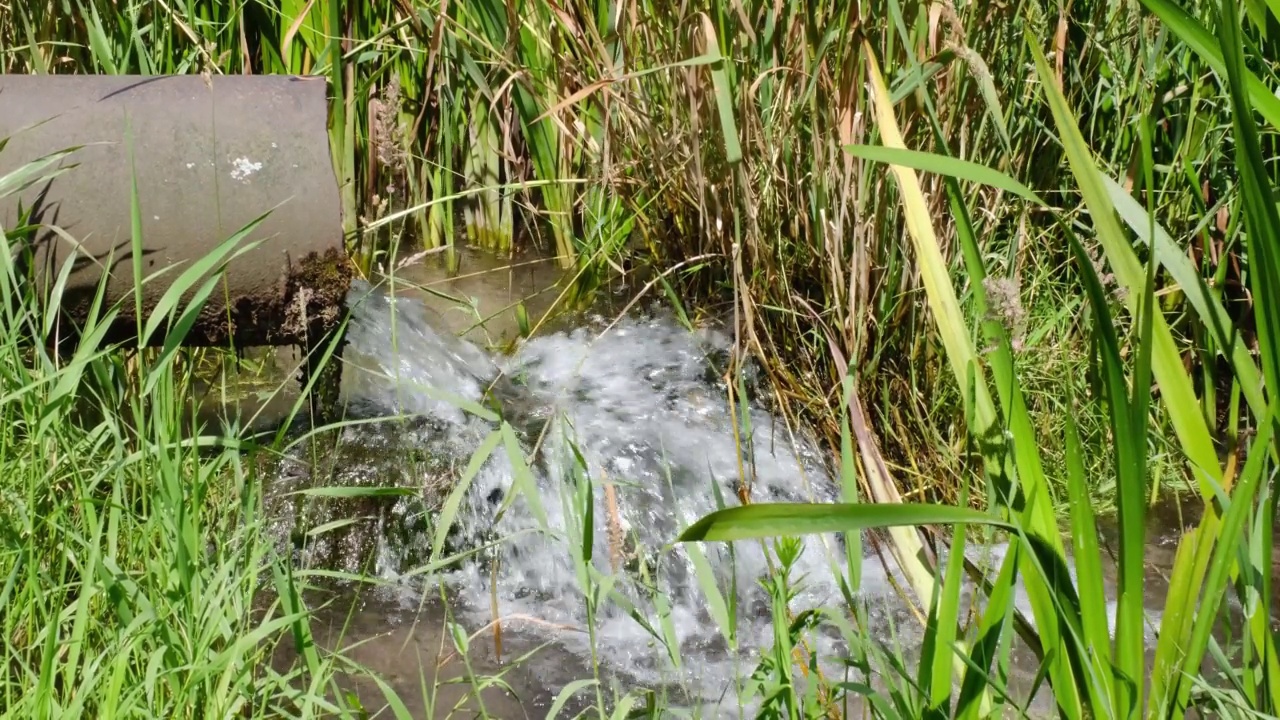 污水从管道流入河里，污染环境。视频素材