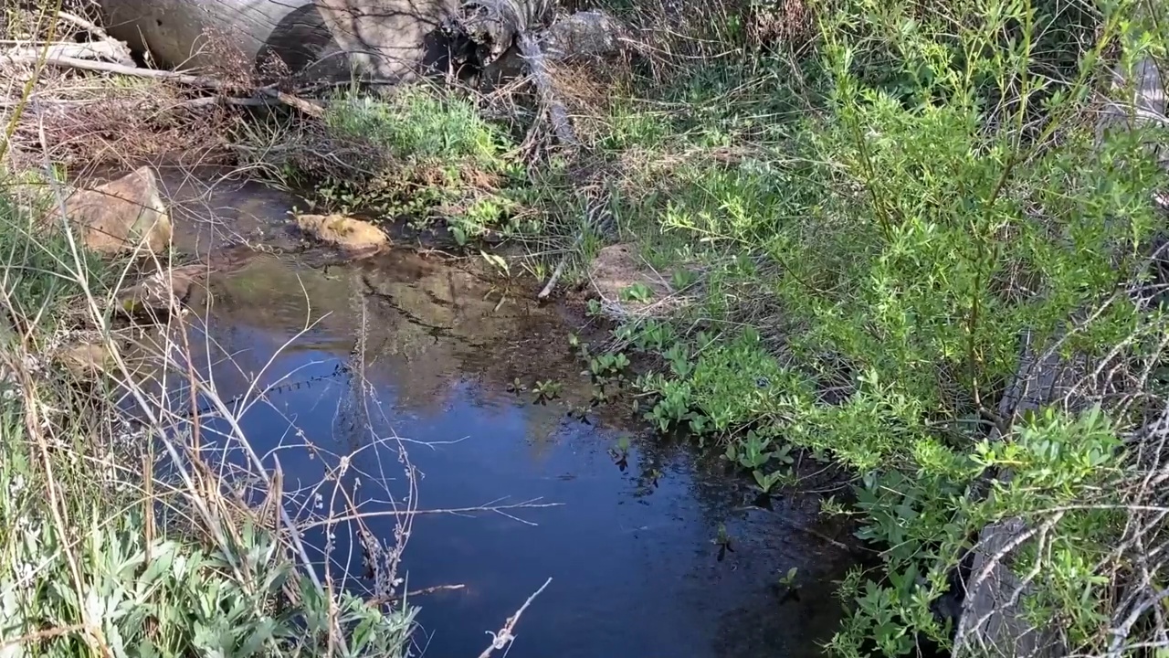 山涧流水矿泉自然流淌的视频视频素材