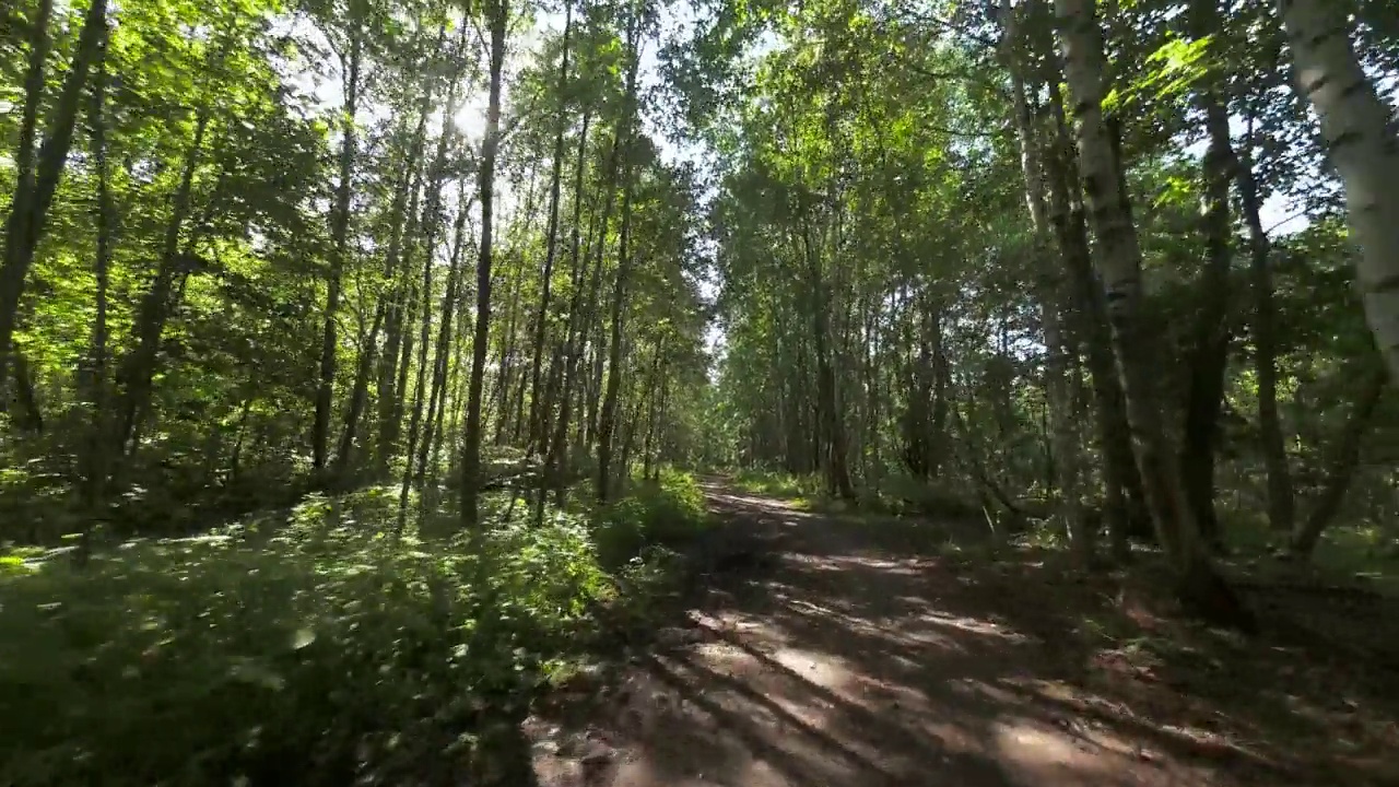 快速和平稳的FPV飞行在阴凉的森林道路上的阳光视频下载