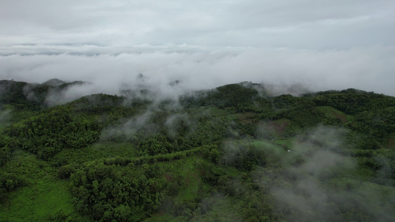 在雾天用无人机拍摄的绿色雨林和山丘的空中景观视频素材