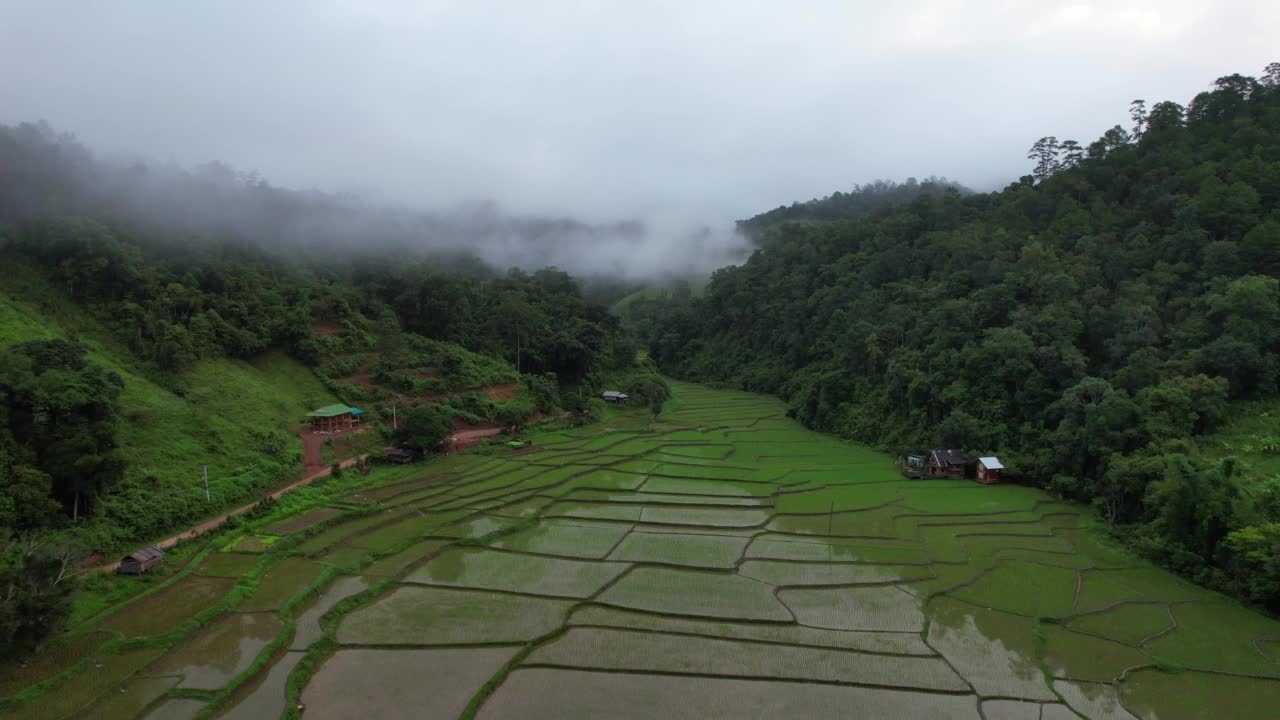 泰国北部大雾天，无人机鸟瞰梯田和山景视频素材