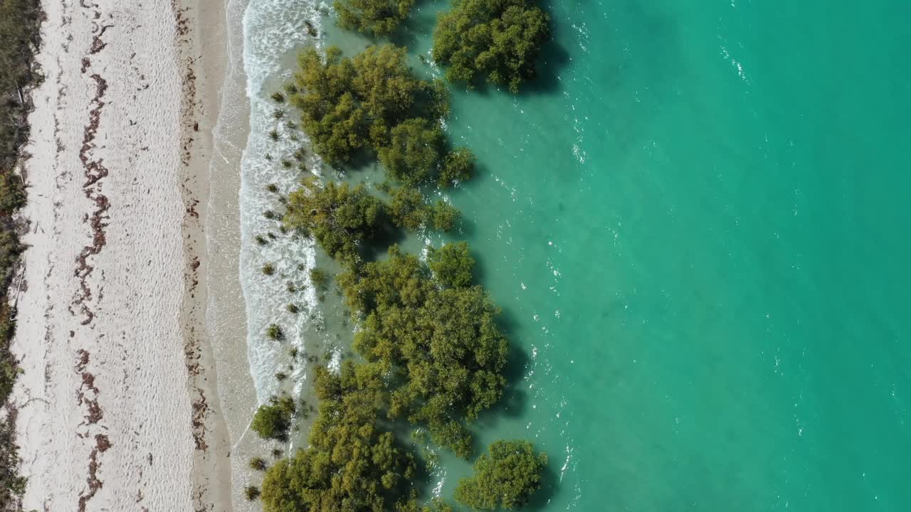 西澳大利亚卢因角红树林的空中景观视频素材