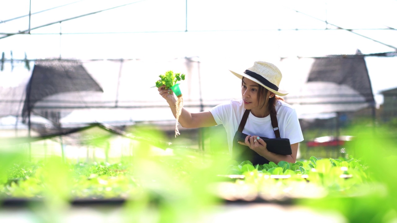 亚洲女性农民视频素材