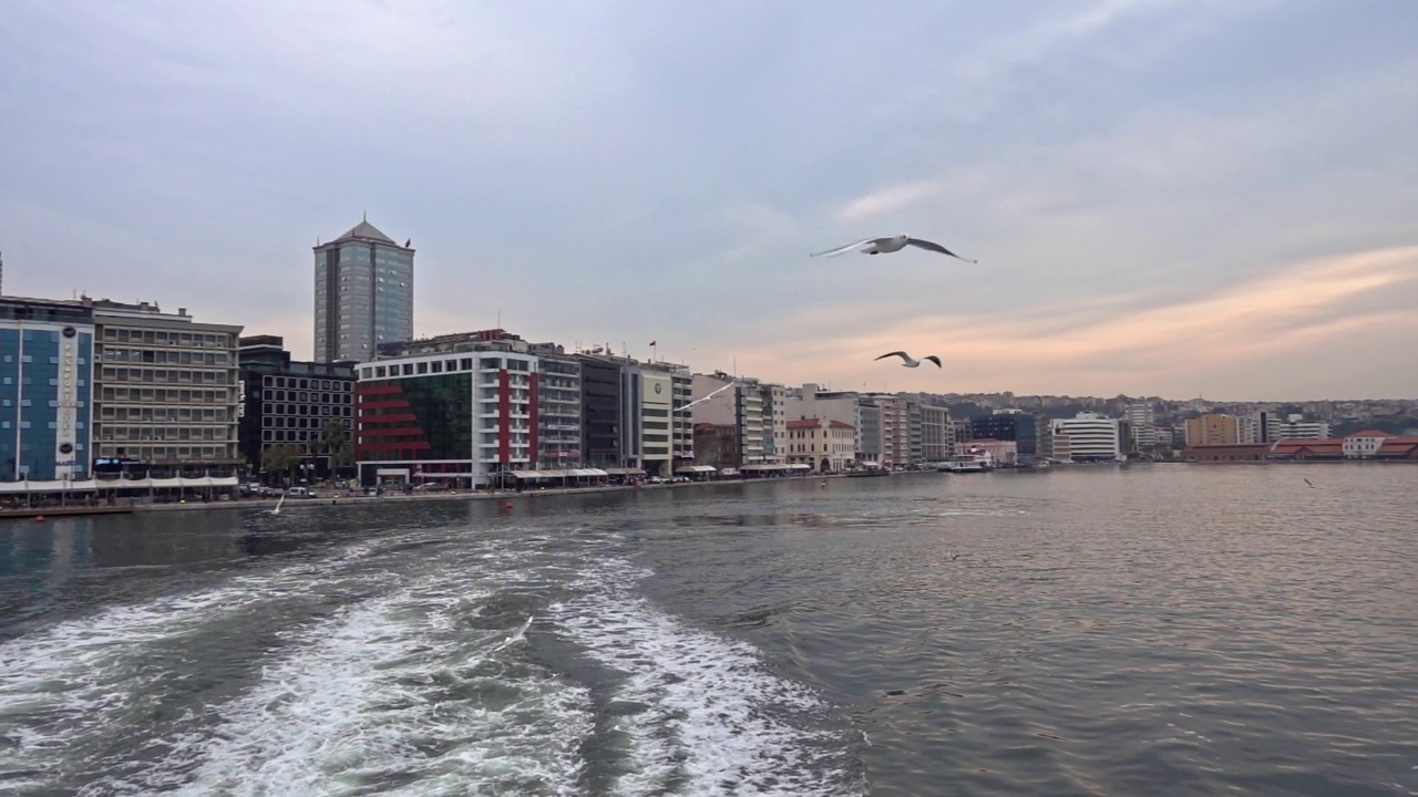 灰色覆盖的天空中的海上城市，在船后飞翔的海鸥视频素材