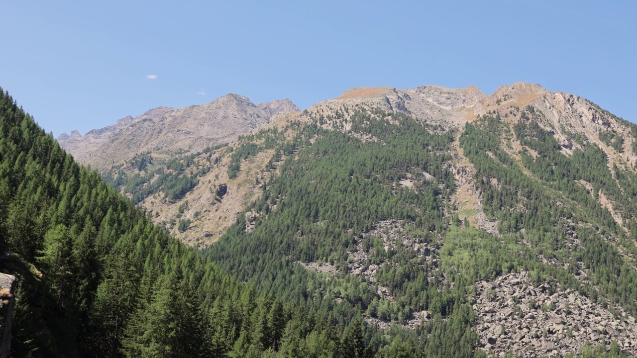 近距离观察在意大利阿尔卑斯山的比安科山脉丰富的植被和树木的墙壁视频素材