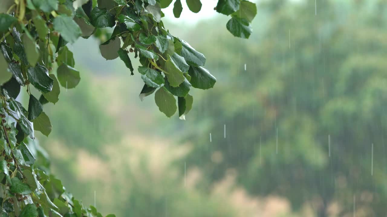 雨的背景视频素材