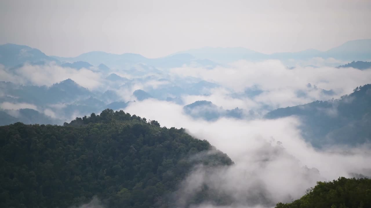 清晨的热带雨林，雾和薄雾笼罩着高山视频素材