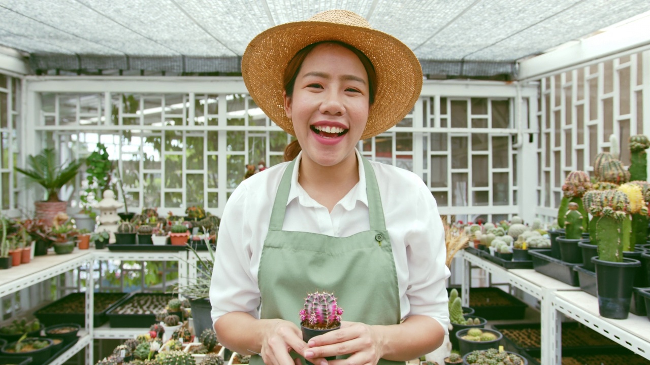 年轻的亚洲女性中小企业企业家生活在仙人掌种植农场的在线社交媒体平台上出售仙人掌视频素材