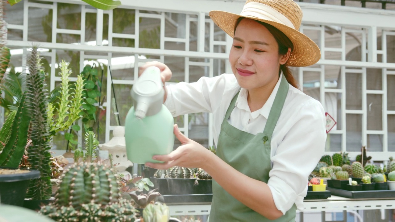 年轻的亚洲女性中小企业企业家在仙人掌农场浇水视频素材