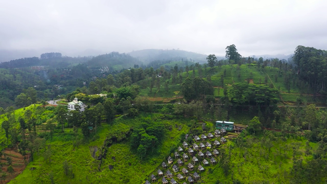 多山省份的绿茶种植园。斯里兰卡。视频素材