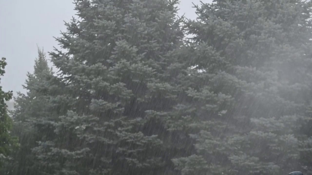 暴雨视频素材