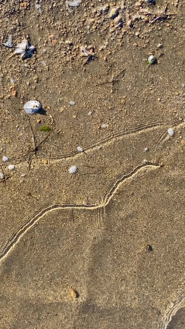 垂直滩波岸波水岸线岸波岸波纹岸沙水下低潮视频素材