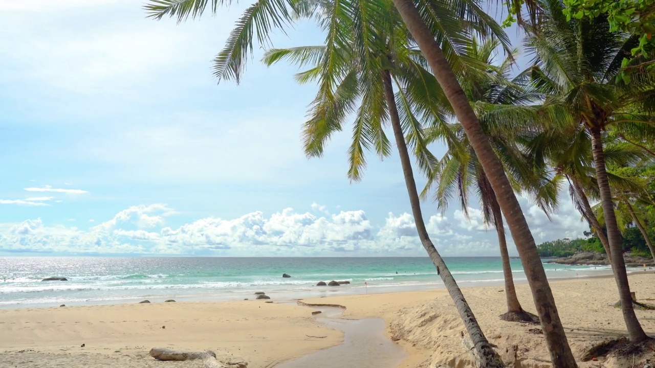 椰子树映衬着蓝天日光。风景优美的海景海滩大海家庭放松假期。视频素材