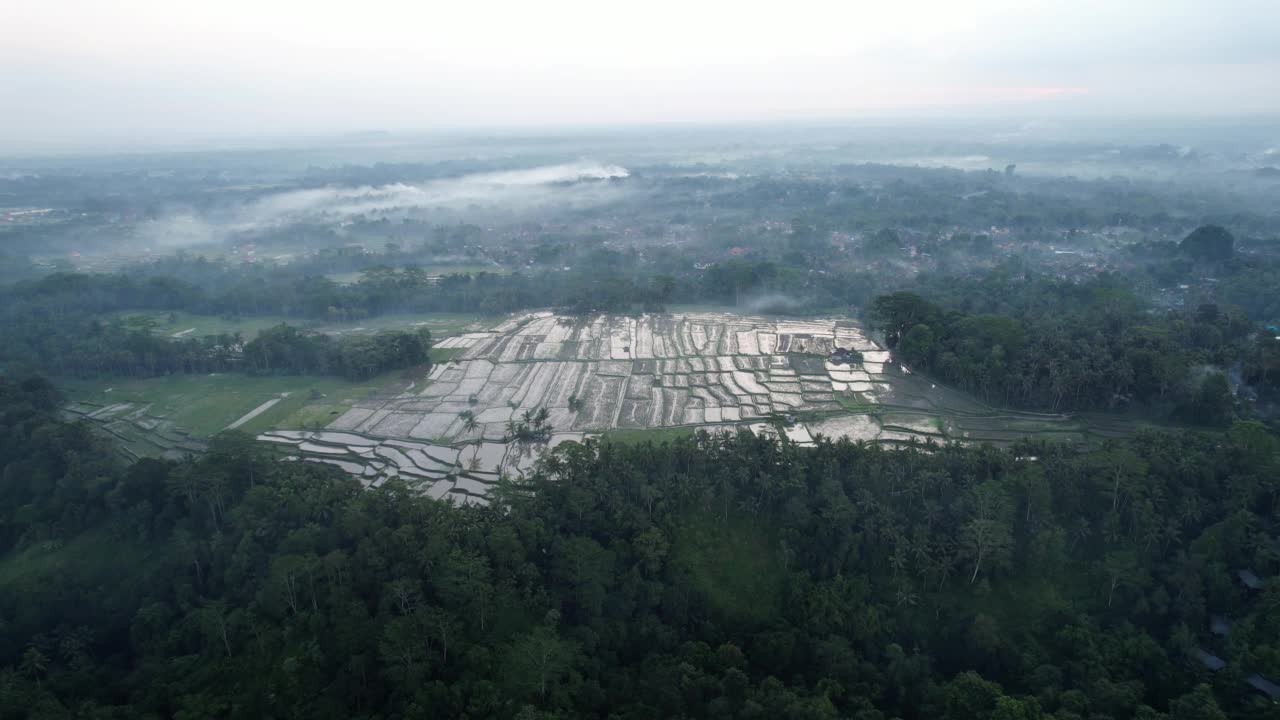 耕作和淹没的稻田，周围的森林地区，空中拍摄的巴厘岛视频素材