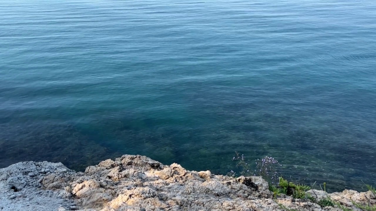 碧蓝的海水，海岸峭壁上开满野花。视频素材