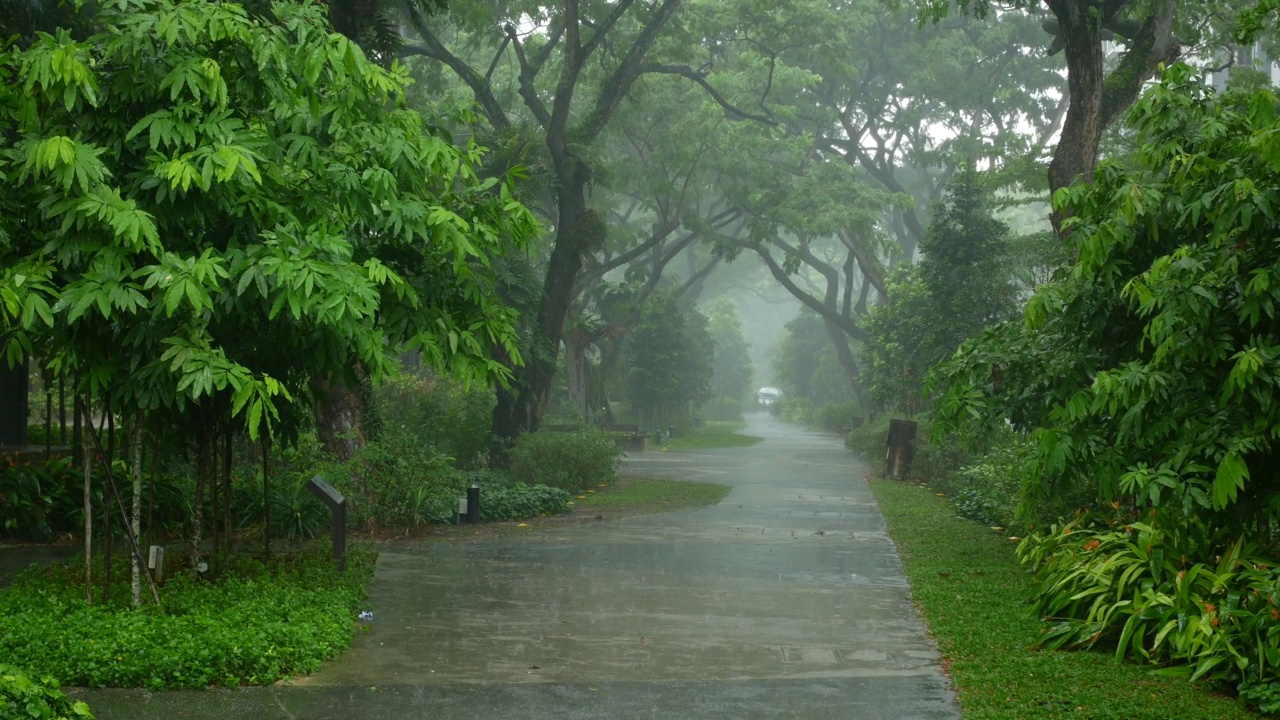 新加坡一个空公园的雨天视频素材