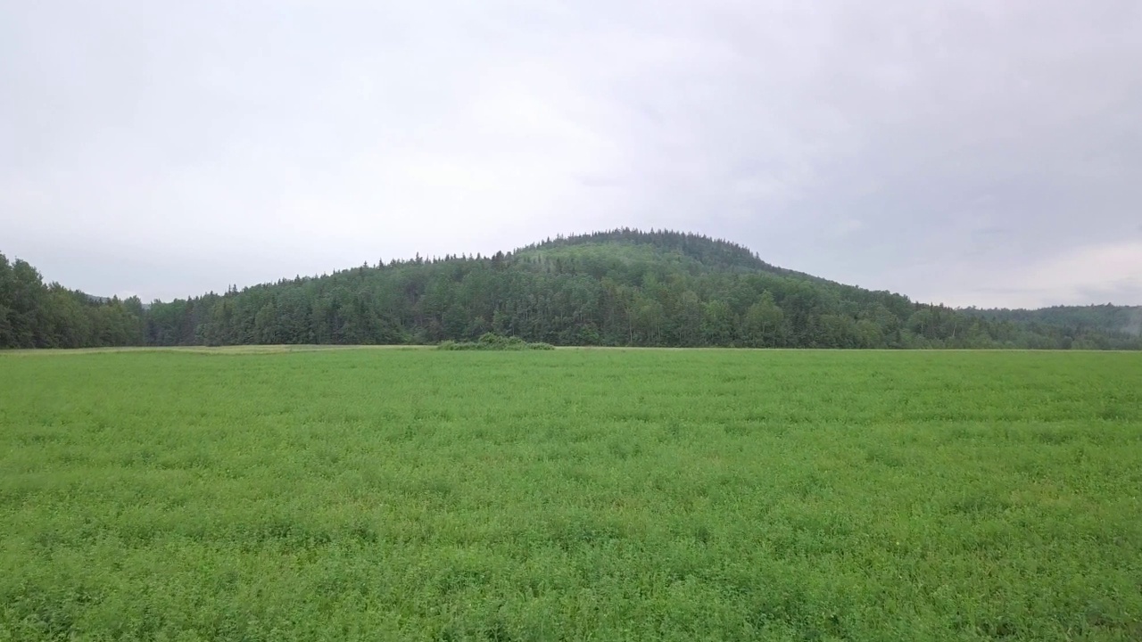 空中无人机视频向前移动，在田野上空飞向一座山视频素材