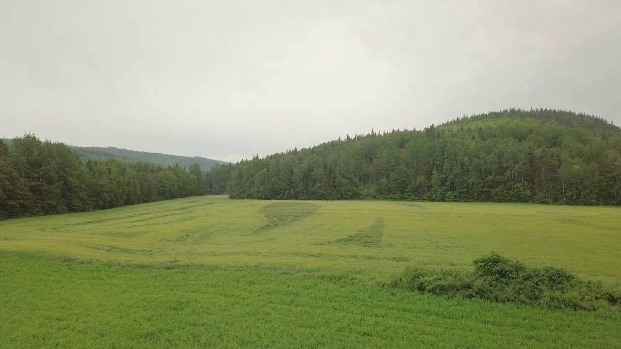 无人机在田野上空从右向左平移的视频视频素材