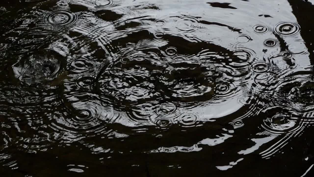 雨水以水滴的形式落在水面上。视频素材