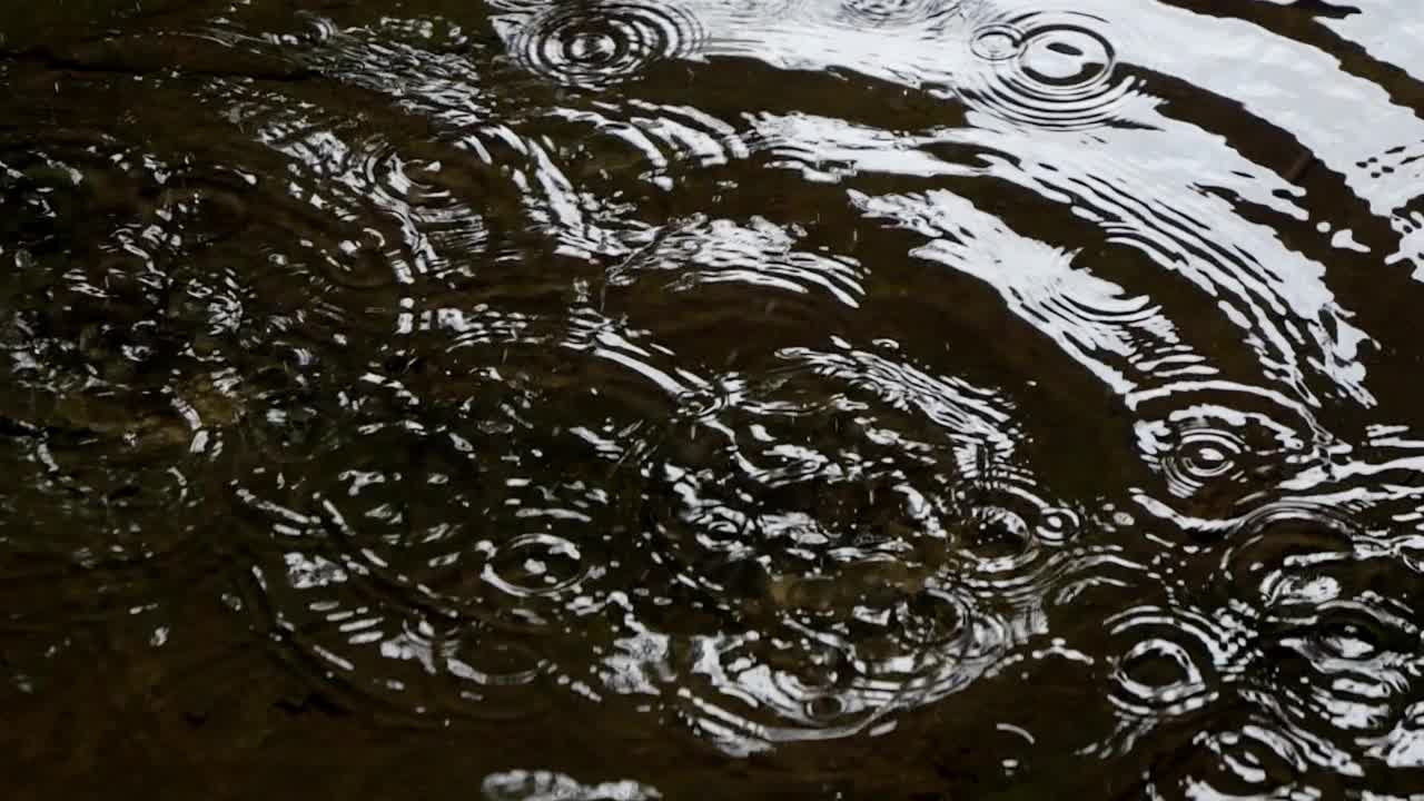 雨水以水滴的形式落在水面上。视频素材