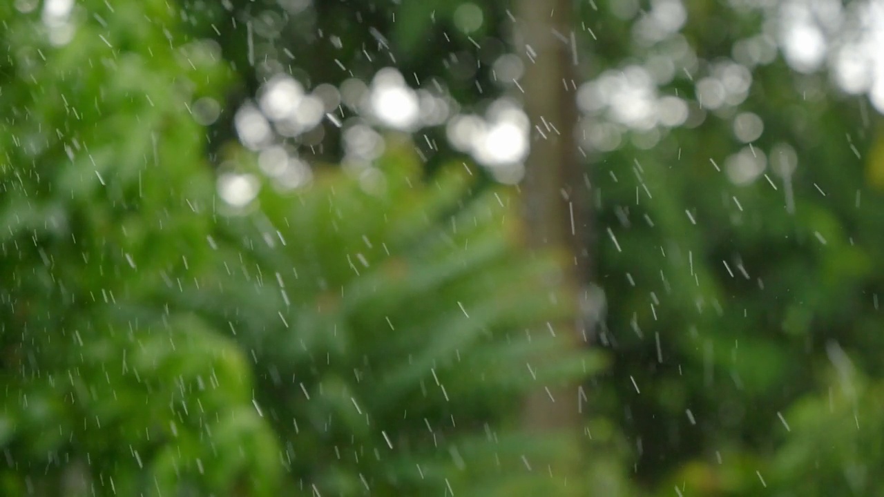 雨滴从天空落下。视频素材