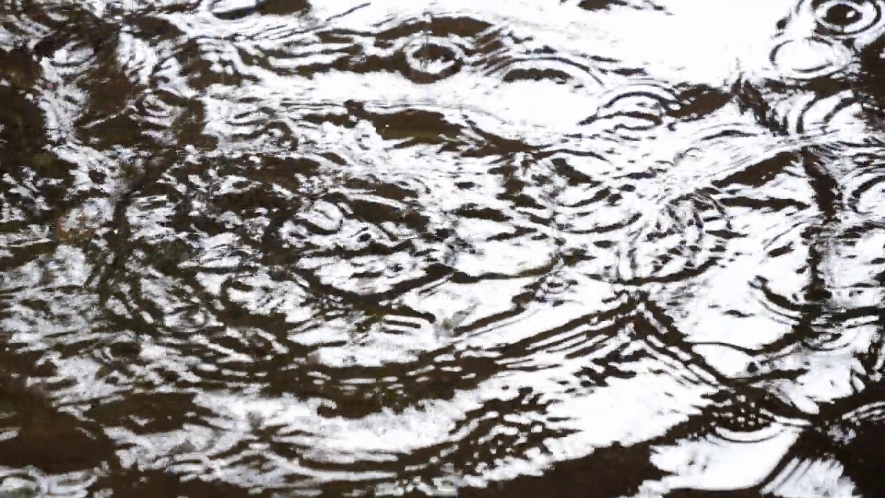 雨水以水滴的形式落在水面上。视频素材