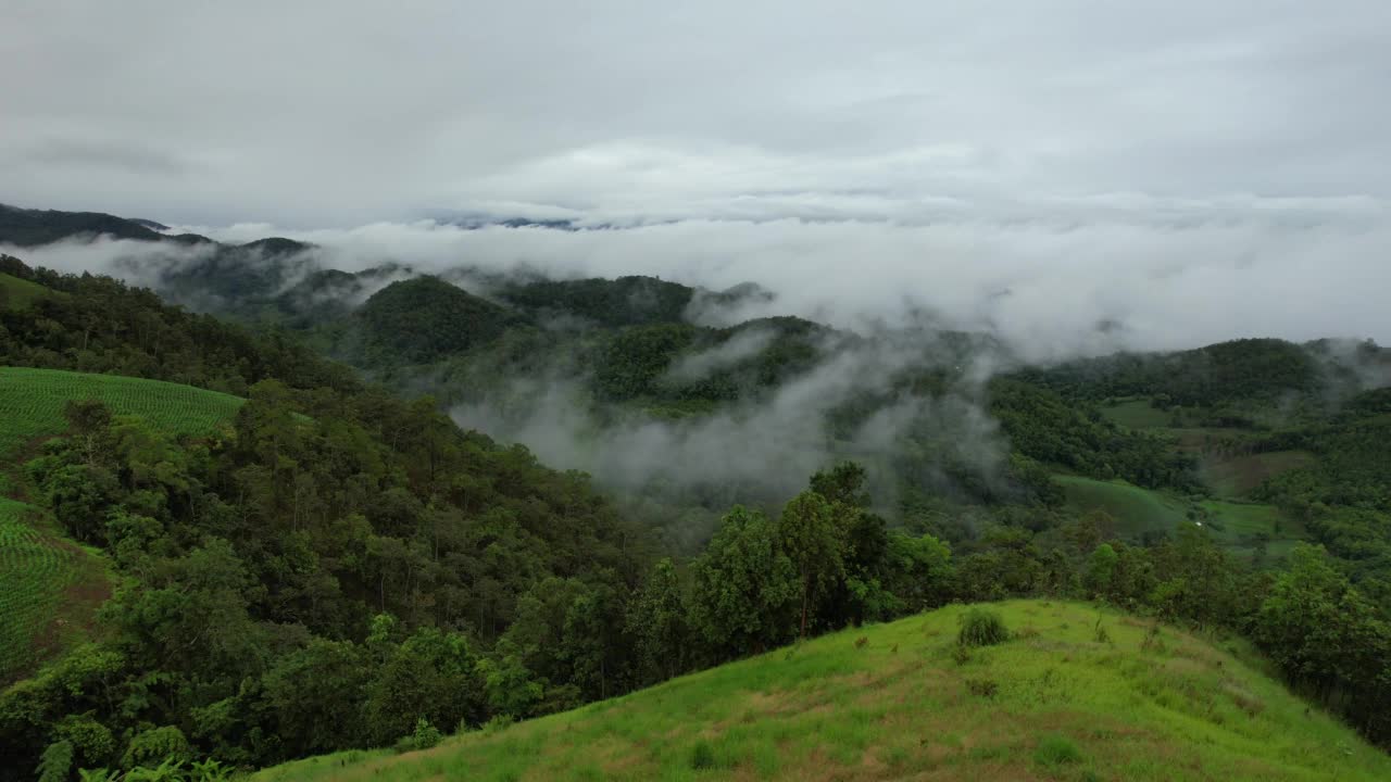 在雾天用无人机拍摄的绿色雨林和山丘的空中景观视频素材