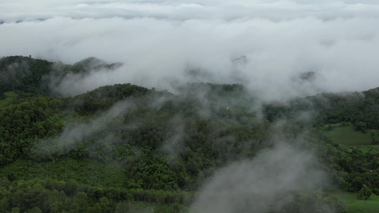 在雾天用无人机拍摄的绿色雨林和山丘的空中景观视频素材