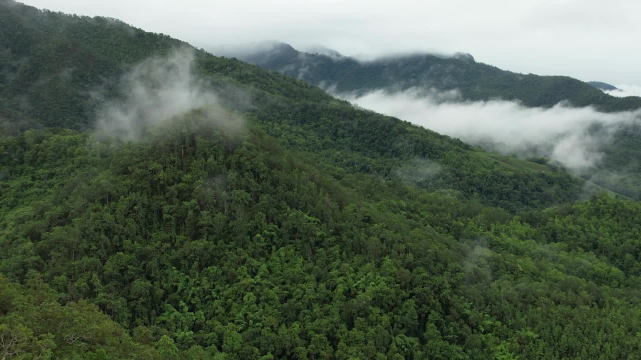 在雾天用无人机拍摄的绿色雨林和山丘的空中景观视频素材