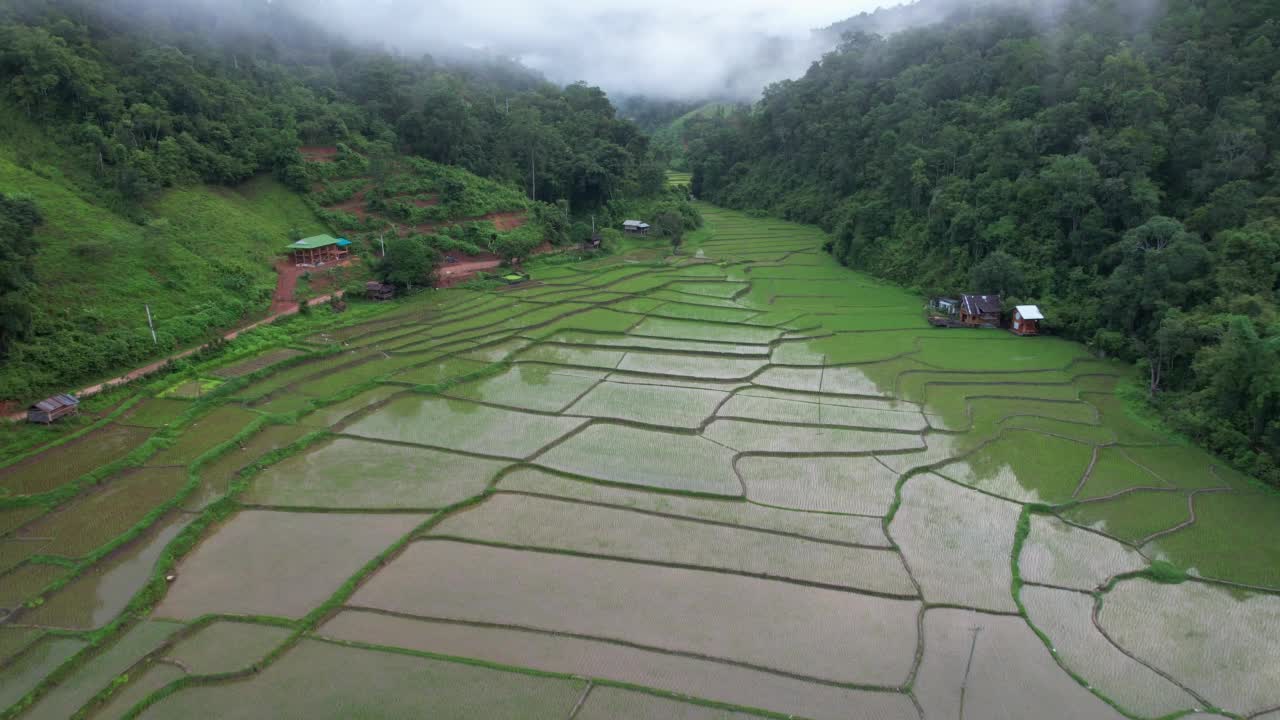 泰国北部大雾天，无人机鸟瞰梯田和山景视频素材